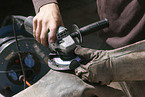 farrier
