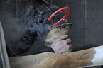 blacksmith