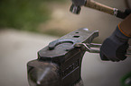 Blacksmith