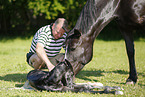 man with newborn foal