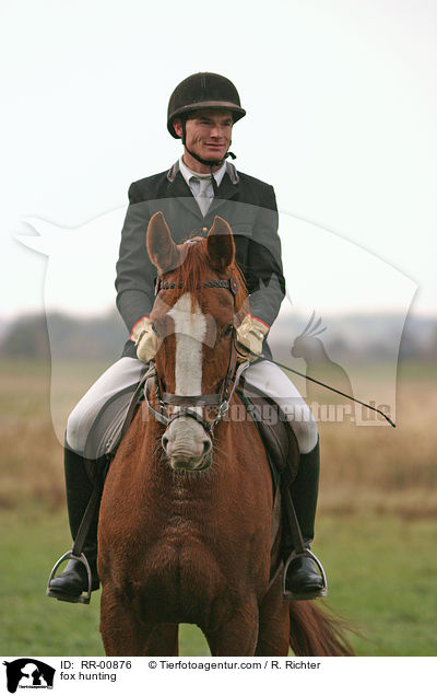 Reiter auf der Fuchsjagd / fox hunting / RR-00876