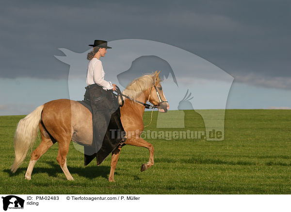riding / PM-02483