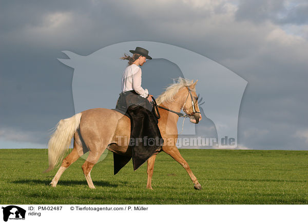 Gangpferdereiten / riding / PM-02487