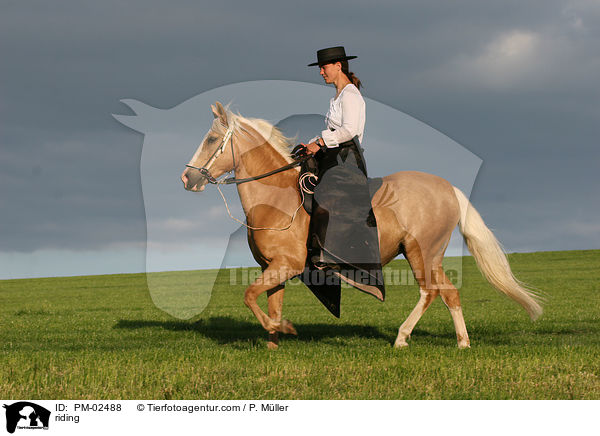 Gangpferdereiten / riding / PM-02488