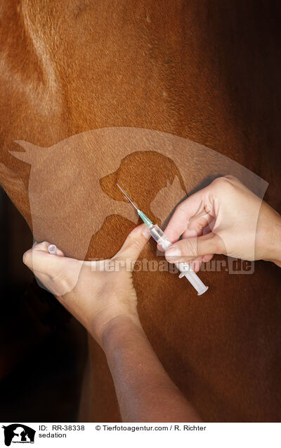 Sedierung / sedation / RR-38338