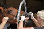 teeth check