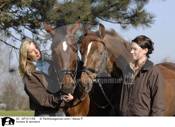 Frauen und Pferde / horses & womans / AP-01159