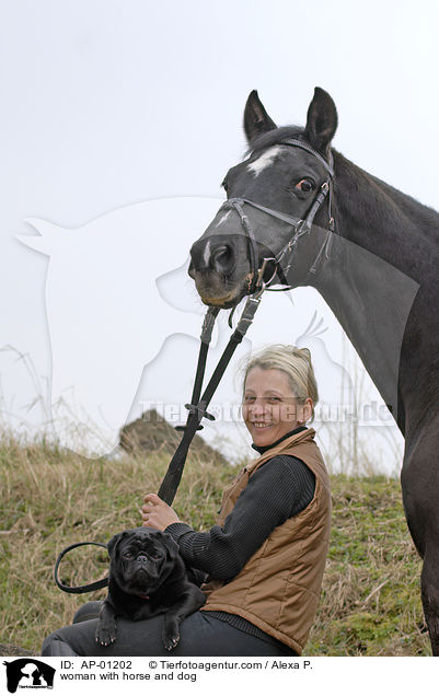 junge Frau mit Pferd und Hund / woman with horse and dog / AP-01202