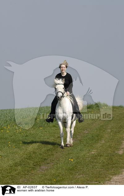 woman with arabian horse / AP-02637
