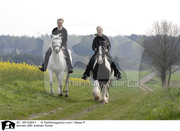 Frau mit Araber / woman with arabian horse / AP-02641