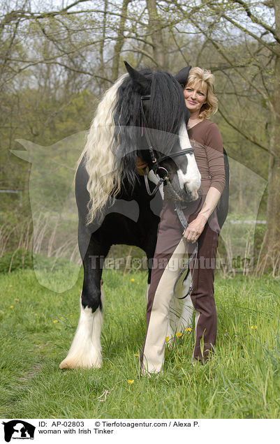 Frau mit Irish Tinker / woman with Irish Tinker / AP-02803