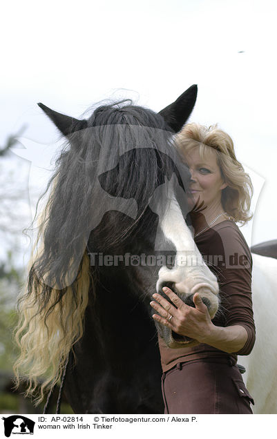 Frau mit Irish Tinker / woman with Irish Tinker / AP-02814