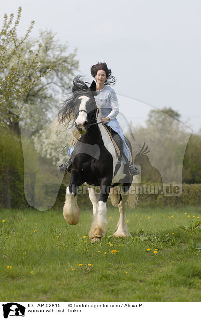 Frau mit Irish Tinker / woman with Irish Tinker / AP-02815