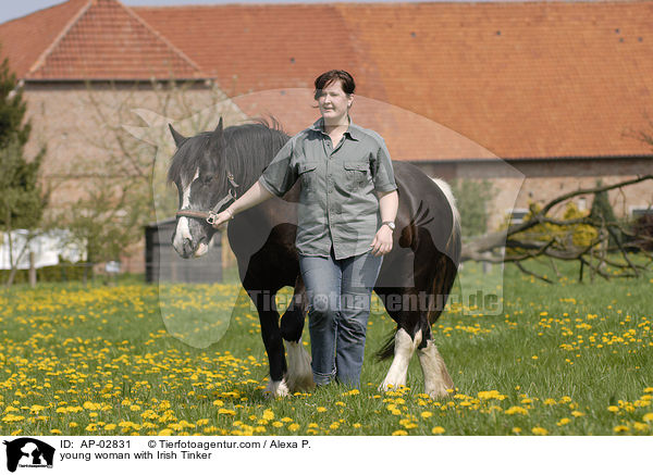 junge Frau mit Irish Tinker / young woman with Irish Tinker / AP-02831
