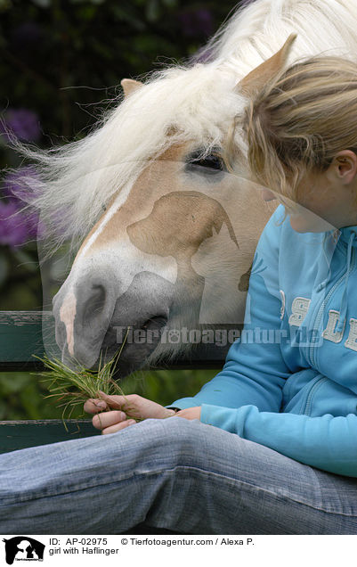 Mdchen mit Haflinger / girl with Haflinger / AP-02975