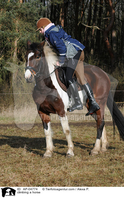 Aufsteigen / climbing a horse / AP-04774