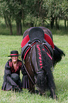 Frisian horse