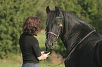 woman with friesian