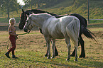 child with horses