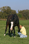 young woman with horse