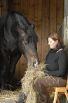 feeding horse