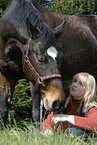 girl with horse