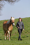 young woman with Haflinger