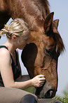young woman with horse