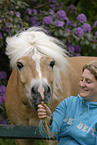 girl with Haflinger