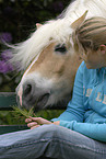 girl with Haflinger