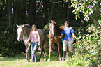 woman and horses