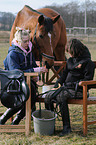 feading a horse
