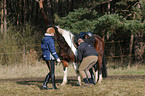 help to climb a horse