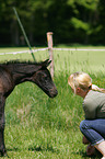 woman with foal