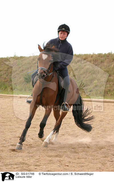 Frau reitet Deutsches Reitpony / Leisure rider / SS-01746