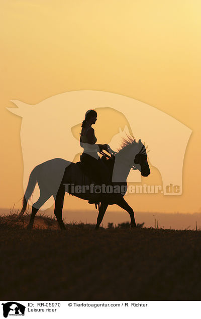 Reiter im Sonnenuntergang / Leisure rider / RR-05970
