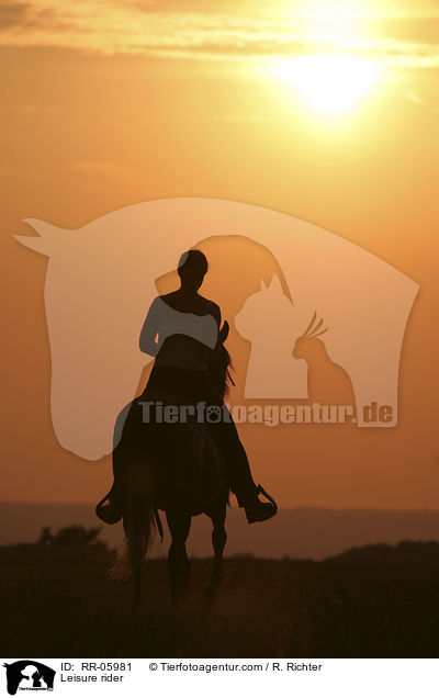 Reiter im Sonnenuntergang / Leisure rider / RR-05981