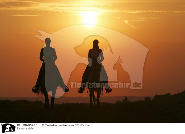Reiter im Sonnenuntergang / Leisure rider / RR-05985