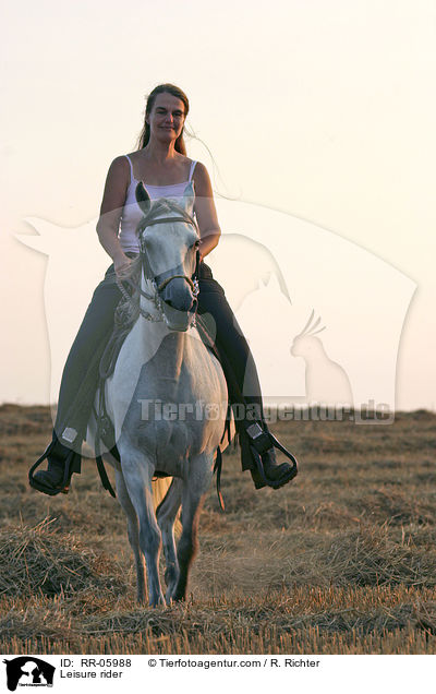 Pferd und Reiter / Leisure rider / RR-05988