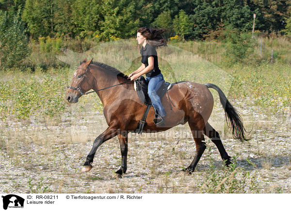 Freizeitreiten / Leisure rider / RR-08211