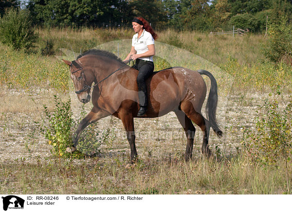 Freizeitreiten / Leisure rider / RR-08246