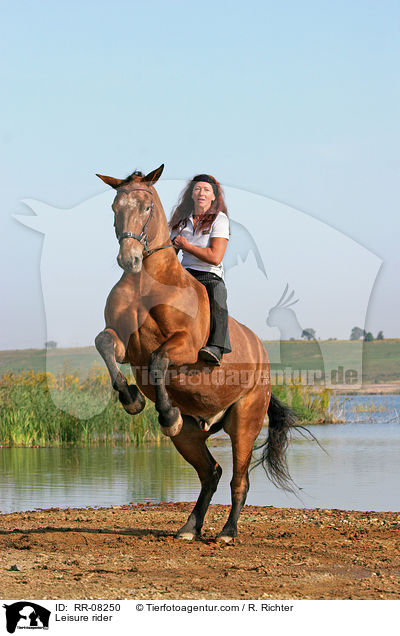 Pferd steigt auf Kommando / Leisure rider / RR-08250