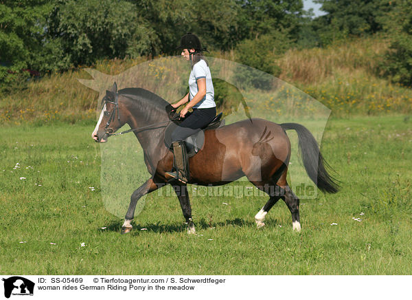 woman rides German Riding Pony in the meadow / SS-05469