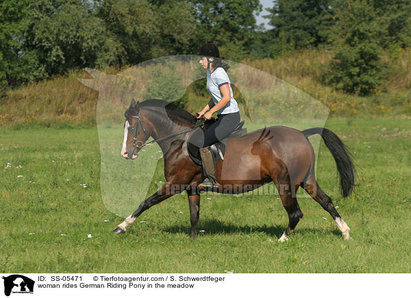 woman rides German Riding Pony in the meadow / SS-05471