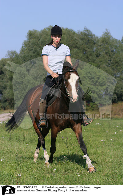 woman rides German Riding Pony in the meadow / SS-05473