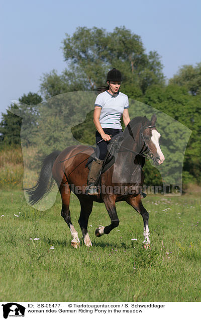 Frau galoppiert mit Deutschem Reitpony / woman rides pony in the meadow / SS-05477