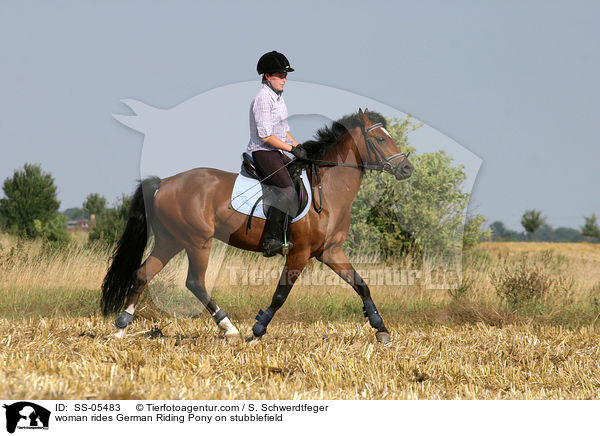 Frau reitet Deutsches Reitpony / woman rides pony on stubblefield / SS-05483