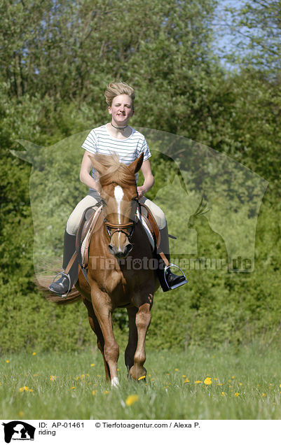 riding / AP-01461