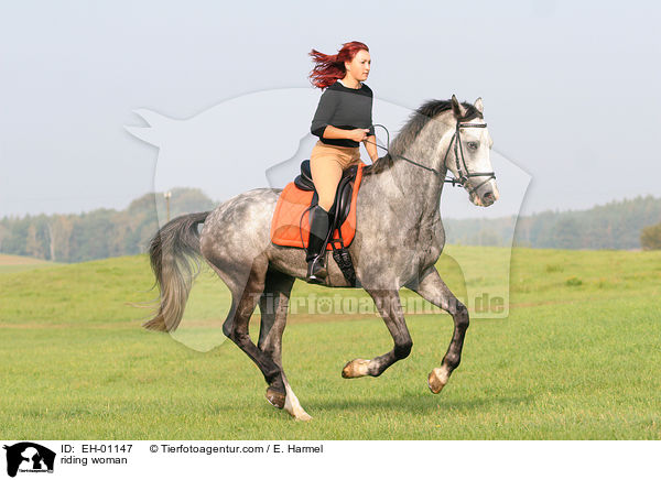 Freizeitreiten / riding woman / EH-01147