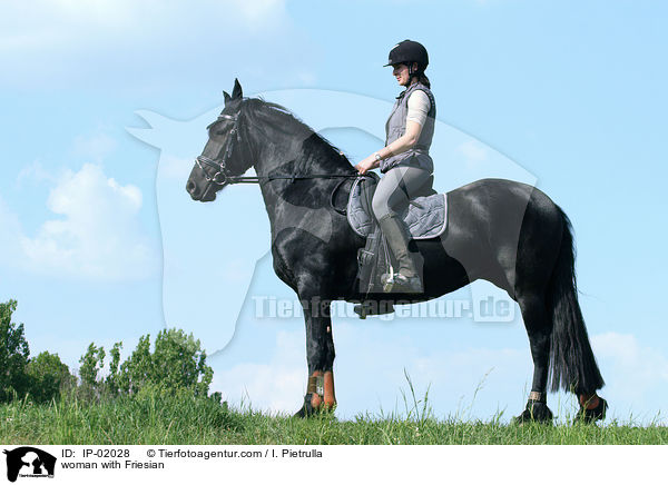 Reiterin auf Friese / woman with Friesian / IP-02028